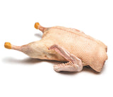 Duck 2kg approx