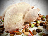Turkey Whole Hen